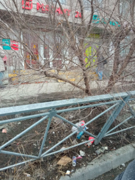 Фото Новосибирцы массово делятся фото грязного города. ОНЛАЙН 11